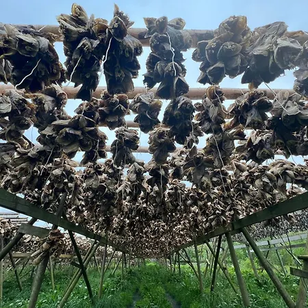 Casa vacanze Fisherman's Cabin, Lofoten - 25 *