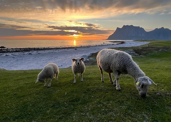 Tatil Evi Fisherman's Cabin, Lofoten - 25 Ballstad
