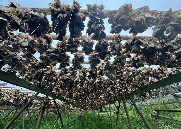 Casa vacanze Fisherman's Cabin, Lofoten - 25 *